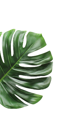 left leaf